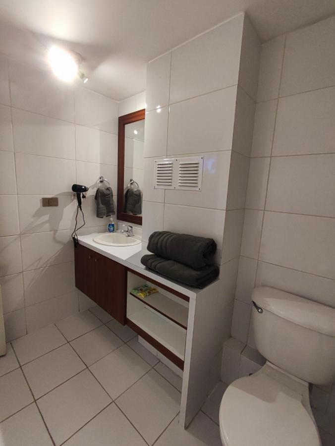 Central Suites Santiago de Chile Zewnętrze zdjęcie