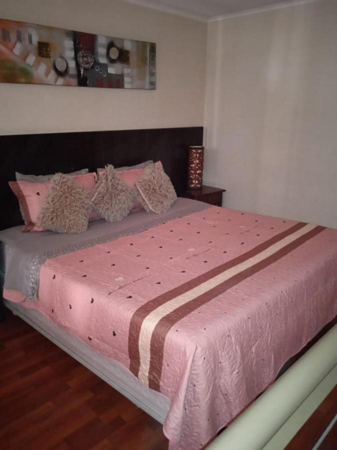 Central Suites Santiago de Chile Zewnętrze zdjęcie